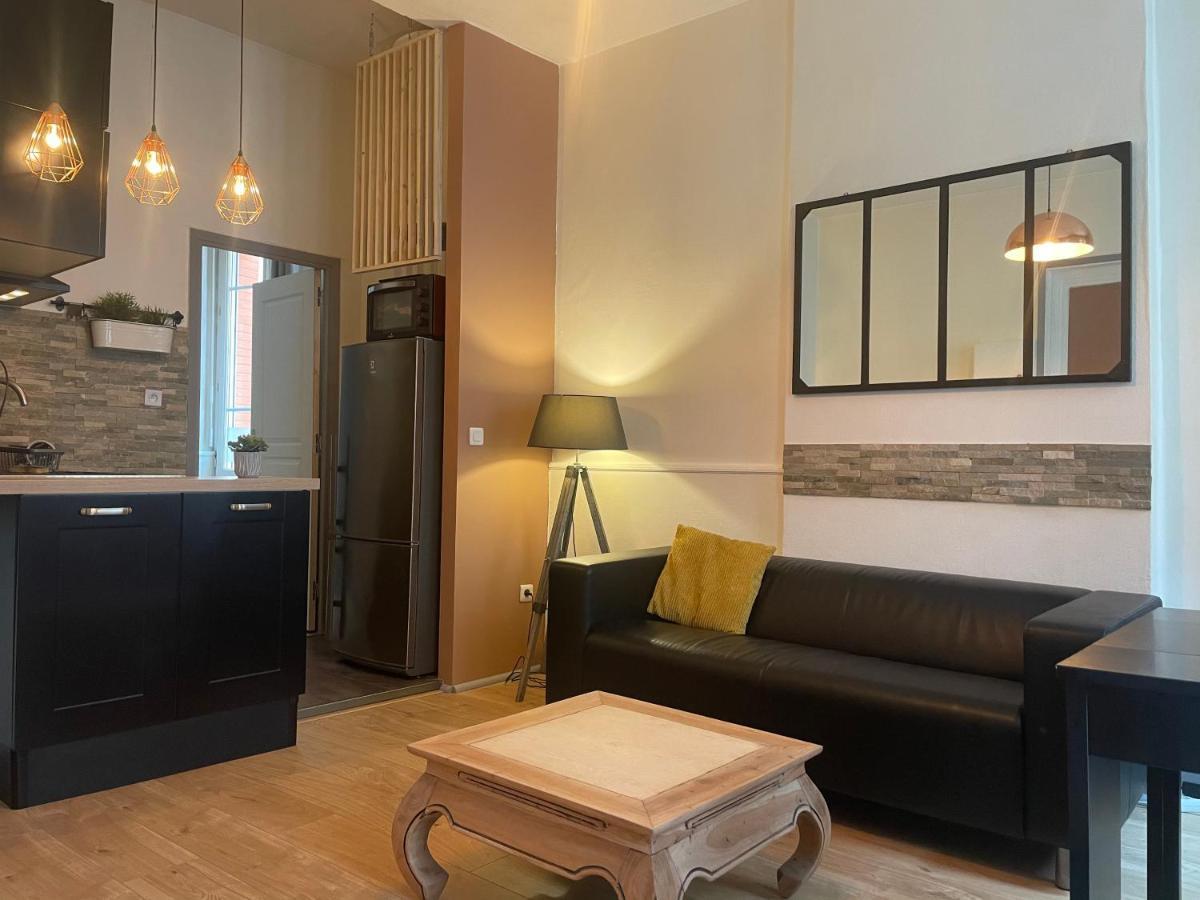 Appartement Cosy En Hyper Centre Toulouse Dış mekan fotoğraf