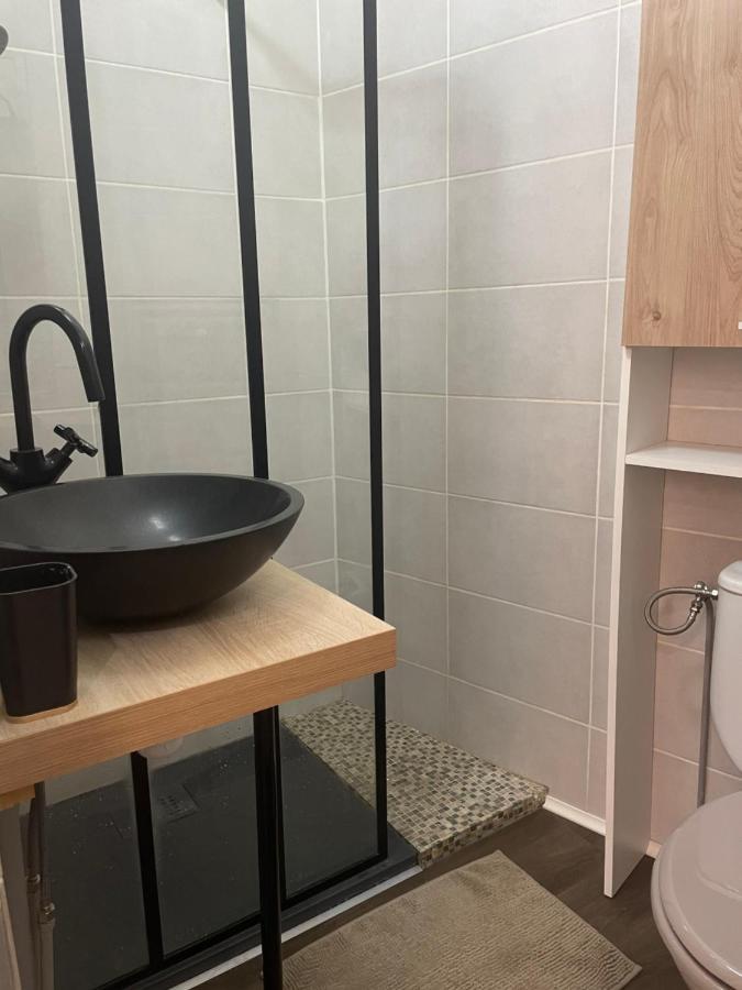 Appartement Cosy En Hyper Centre Toulouse Dış mekan fotoğraf