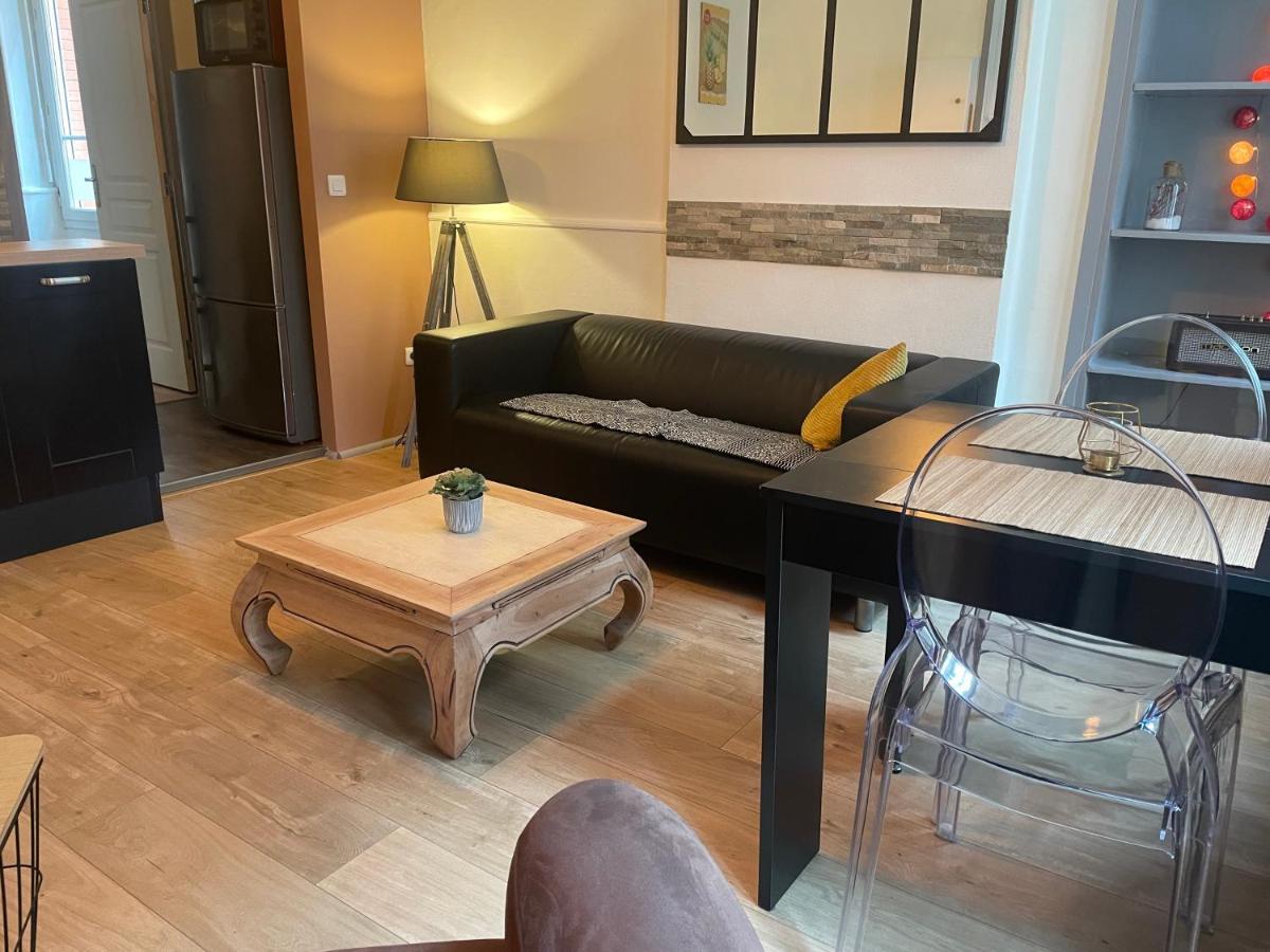 Appartement Cosy En Hyper Centre Toulouse Dış mekan fotoğraf